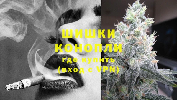 прущие грибы Вяземский