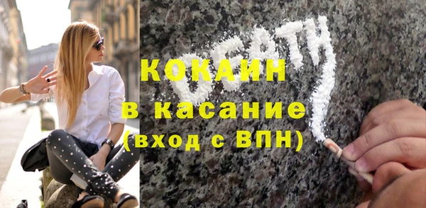 прущие грибы Вяземский