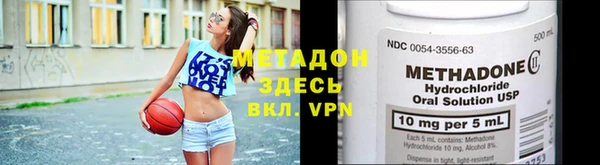 прущие грибы Вяземский
