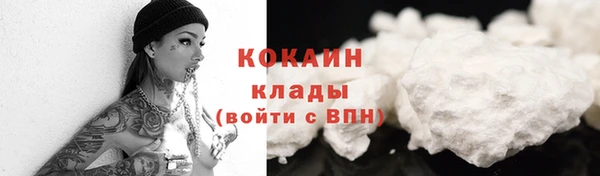 прущие грибы Вяземский