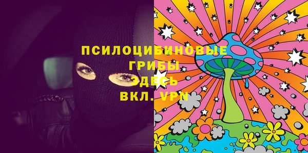 PSILOCYBIN Вязьма