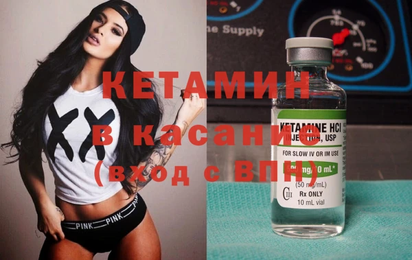 прущие грибы Вяземский