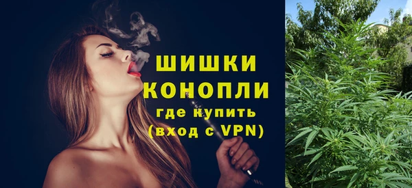 прущие грибы Вяземский