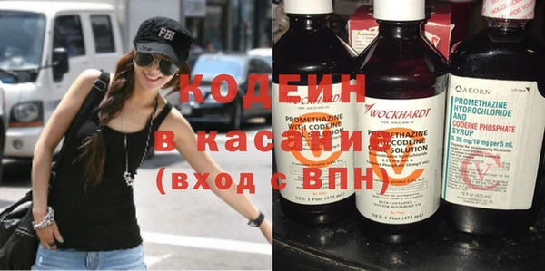 прущие грибы Вяземский