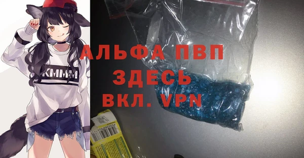 прущие грибы Вяземский