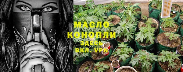 PSILOCYBIN Вязьма