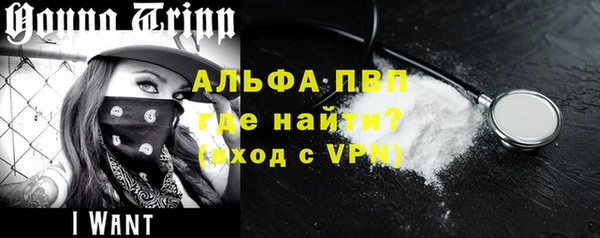 PSILOCYBIN Вязьма
